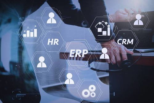 重塑與賦能 企業管理軟件對企業數字化轉型的核心影響